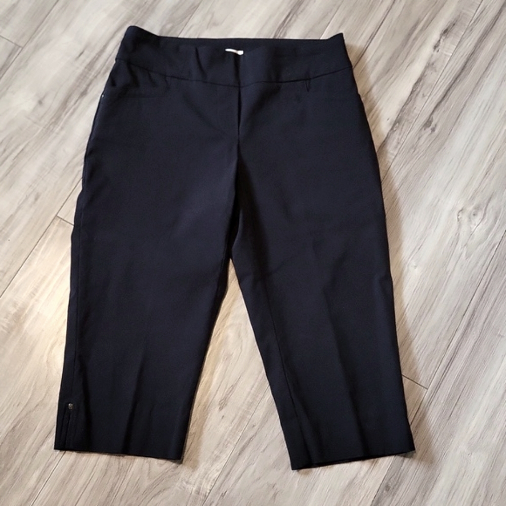 Reitmans Pull On Capri pants (petite 4)